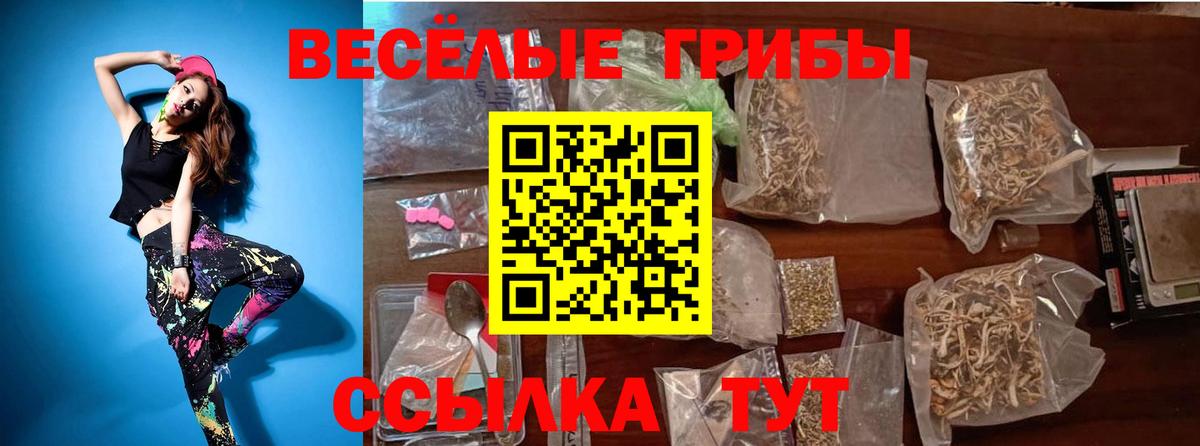 даркнет сайт  Галлюциногенные грибы мицелий  Вход с VPN  Северобайкальск 