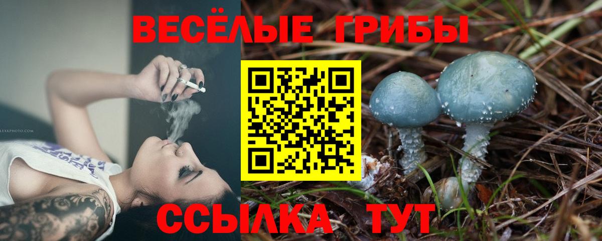 Галлюциногенные грибы мицелий Северобайкальск